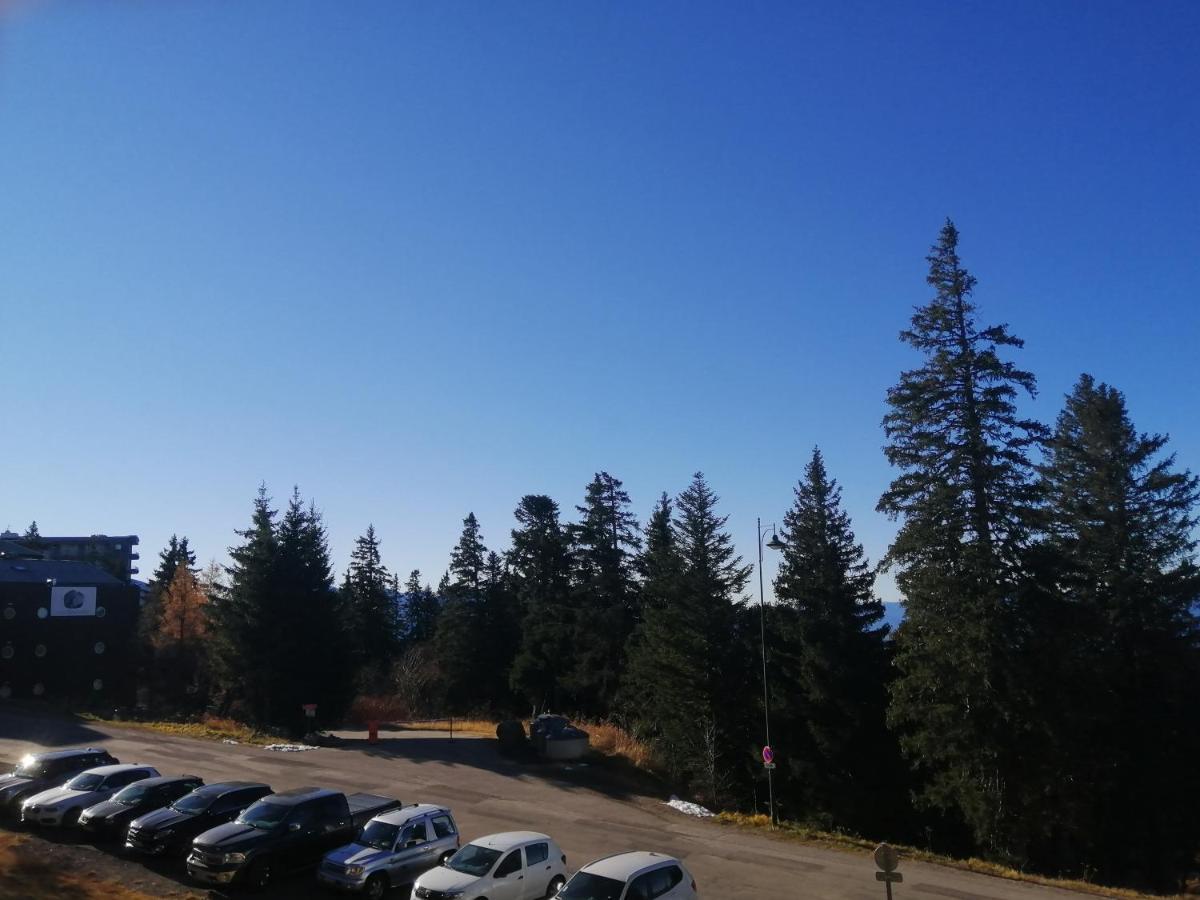 Le Flocon-Studio Cabine-Balcon 4-6 Pers A 100M Des Pistes Шамрусс Экстерьер фото