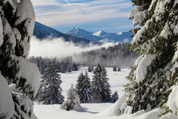 Le Flocon-Studio Cabine-Balcon 4-6 Pers A 100M Des Pistes Шамрусс Экстерьер фото