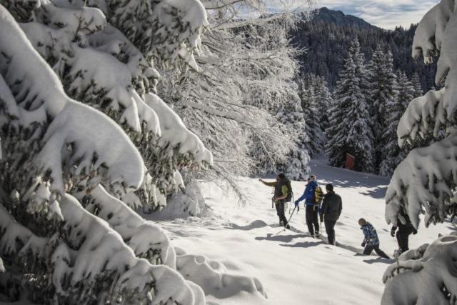 Le Flocon-Studio Cabine-Balcon 4-6 Pers A 100M Des Pistes Шамрусс Экстерьер фото