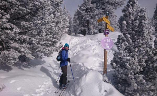 Le Flocon-Studio Cabine-Balcon 4-6 Pers A 100M Des Pistes Шамрусс Экстерьер фото