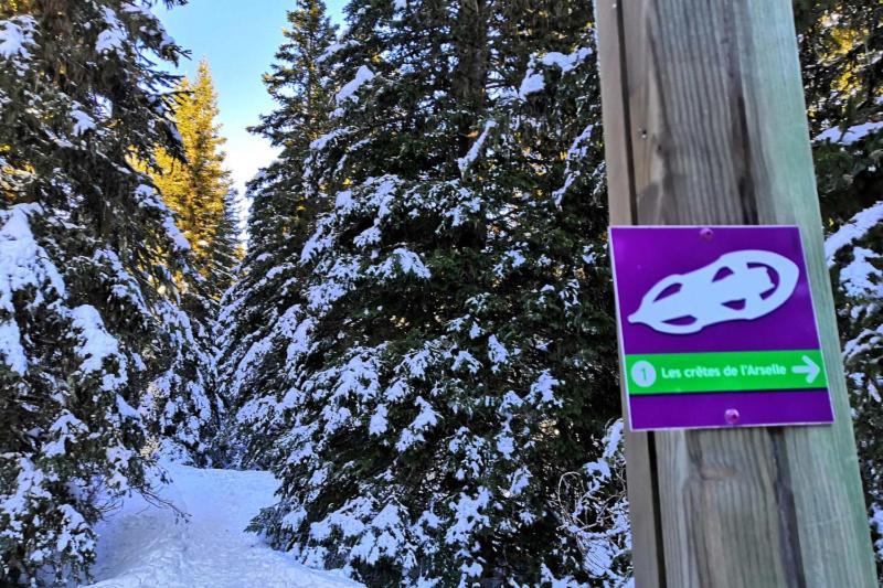 Le Flocon-Studio Cabine-Balcon 4-6 Pers A 100M Des Pistes Шамрусс Экстерьер фото